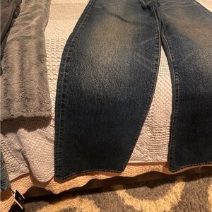 Express Indigo Denim Jeans